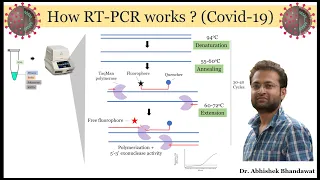 All about real-time PCR (qRT-PCR). How it works? Made Easy.