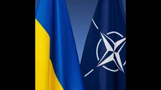 Україна подає заявку на пришвидшений вступ до NATO