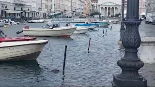 Maltempo e acqua alta in centro a Trieste