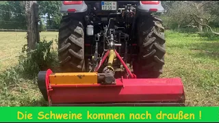 FarmVLOG #157 Die Ferkel kommen nach draußen !!