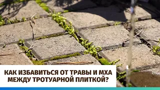 Как избавиться от травы и мха между тротуарной плиткой?