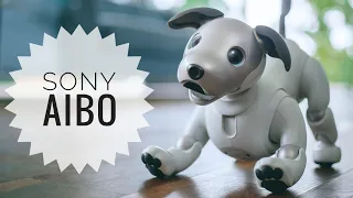 Sony Aibo Trailer