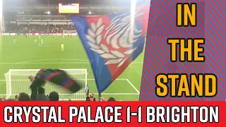 Crystal Palace 1-1 Brighton | IN THE STAND