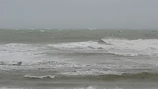 Tempête Ciara surfeur a wissant dimanche vers 15h😱