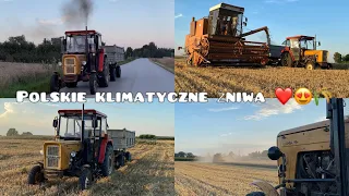 C-360 NA PRZEPALE?! 🤤❤️/Miodowy Bizon?🍯😦/WIEŚ W SZOKU 😱😱/CZYLI POLSKIE ŻNIWA 2023! 🌾😍