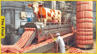 How Sausage Is Made - Sausage Processing Factory from Millions of COWS | Food Factory