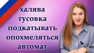 Russian confusing words - подкатывать, халява, тусовка, опохмеляться, автомат