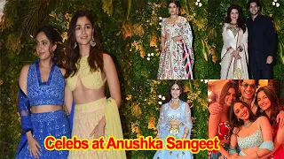 Bollywod celebrities at Anushka Ranjan and Aditya Sangeet Night