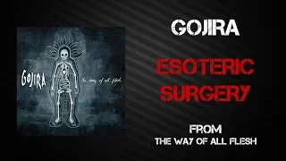 Gojira - Esoteric Surgery [Lyrics Video]