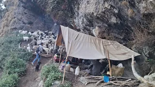 This is Himalayan Life | Nepal |Ep-262 | Delicious Food Cooking And Eating | Village Life Nepal