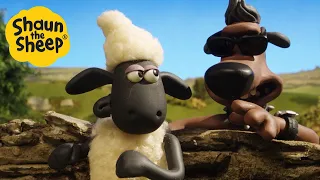 Shaun the Sheep 🐑 Who let the new dog out! - Cartoons for Kids 🐑 Full Episodes Compilation [1 hour]