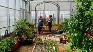 Grow Ceres | How To Plan a Garden Layout in a Solar Greenhouse