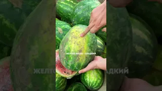 Как правильно выбирать арбуз 🍉 Лайфхак