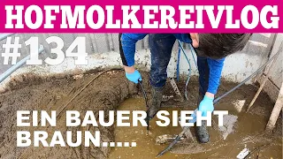 Hofmolkerei VLOG#133​ Der Bauer sieht braun   Der Hofmolkerei Farmvlog