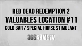 Red Dead Redemption 2 Valuables Location Guide - Gold Bar ($500) / Special Horse Stimulant Pamphlet