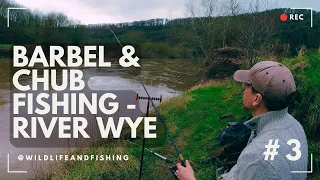 Barbel and Chub Fishing | River Wye | #3