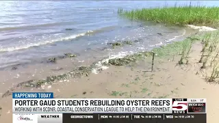 VIDEO: Students rebuilding oyster reefs with local organizations