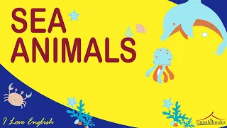 Sea Animals Flashcard | Belajar Nama Hewan Laut Dalam Bahasa Inggris