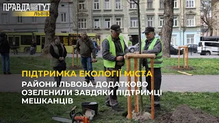 Райони Львова додатково озеленили завдяки підтримці мешканців