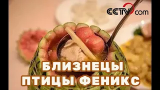 Близнецы птицы феникс|CCTV Русский