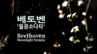 🎵베토벤 '월광 소나타' 1악장 1시간 연속듣기 ❤ Beethoven, Moonlight Sonata ｜모든 인류가 반드시 들어야 하는 필수 음악 ｜달빛 아래 매화꽃
