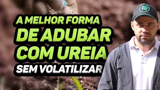 A MELHOR FORMA DE ADUBAR COM UREIA - SEM VOLATILIZAR