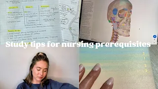 STUDY TIPS FOR NURSING PREREQUISITES | Anatomy, Physiology, Microbiology