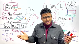 Blood Physiology | Dr Nageeb for Benha PT