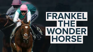The World's Greatest Horse! | Frankel, The Wonder Horse | 7 Amazing Wins Including The Queen Anne