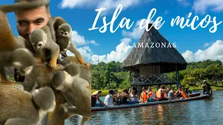 Visitando la Isla de los micos en el Amazonas