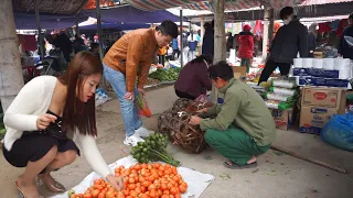 Going to the Lunar New Year market to sell chickens to earn money to build wooden houses | Ep 18