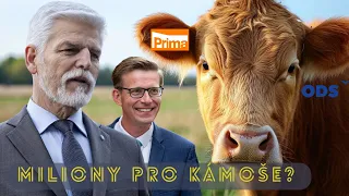 Drahé spoty spřáteleného režiséra. Koncert hlouposti a arogance. Když prezident počítá.