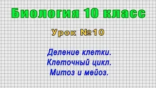 Биология 10 класс (Урок№10 - Деление клетки. Клеточный цикл. Митоз и мейоз.)