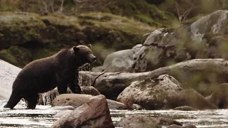 Explore British Columbia: Kayaking on Northern Vancouver Island