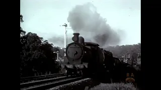 The Last Decade of STEAM Volume 2 - NSW Government Railways c1960s Australia