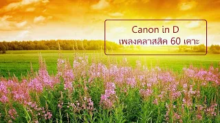 Canon in D ดนตรีคลาสสิค 60 เคาะ   #คลื่นอัลฟ่า #นั่งสมาธิ488 #แคนนอน