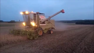 Żniwa 2018 w Świętokrzyskiem :D Forschnitt E514 & 2x Zetor