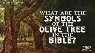 What Are The Symbols Of The Olive Tree In The Bible - General Bible Study (August 3, 2023)