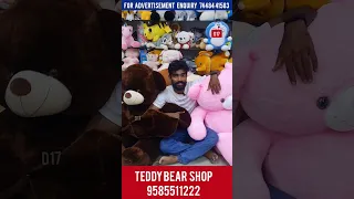 Best Teddy 🐼 Bear Shop in Chennai 💥| Wholesale & Retail. 😲  #teddy #trnding #kids #shopping @d17