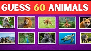 Guess the Animals in 3 Seconds | Easy, Medium, Hard, Impossible