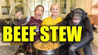 Chimpanzee Makes Vegetarian Beef Stew | Myrtle Beach Safari