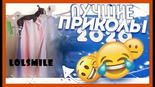 неудачники 2020, смешные падения,lolsmile,лучшие приколы 2020  ,неудачи,ТОПОВАЯ ПОДБОРКА ФЭЙЛОВ