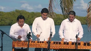 El cascabel & La Bamba - Marimba Raíz Tabasqueña