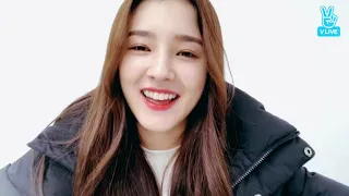 Momoland 모모랜드 1st Anniversary in Vlive (November 9, 2017)