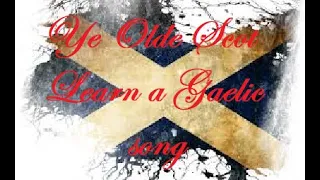 An Ron / Ann an Caolas Od Odrum - The seal / In the Caolas Od Odrum, Learn a Gaelic song