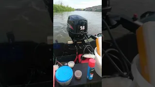 Рыбалка на Дону (выше протоки быстрая)