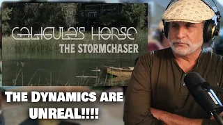 Checking out Caligula's Horse The Stormchaser - Moving Prog Through 2024 | Reaction