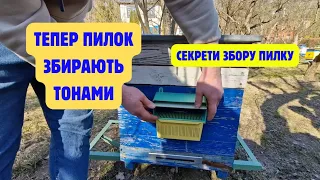 СЕКРЕТИ, які вам допоможуть зібрати багато пилку і ДОРОГО продати! Збирання пилку!