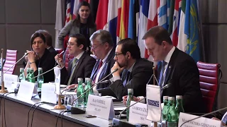 General Committee on Political Affairs and Security - Winter Meeting 2019