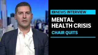 Mental Health Australia quits over government ‘inaction’ | ABC News